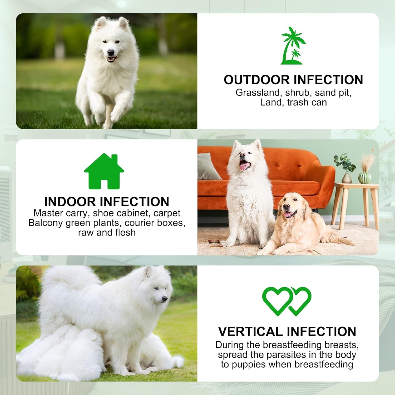 Natural Flea & Tick Prevention Chews for Dogs - Peking Duck Flavour Soft Chews with Vitamins B1, B6, B12 - Vet-Approved Deworming Supplement for All Breeds & Ages - 60 Chewable Tablets image number 5