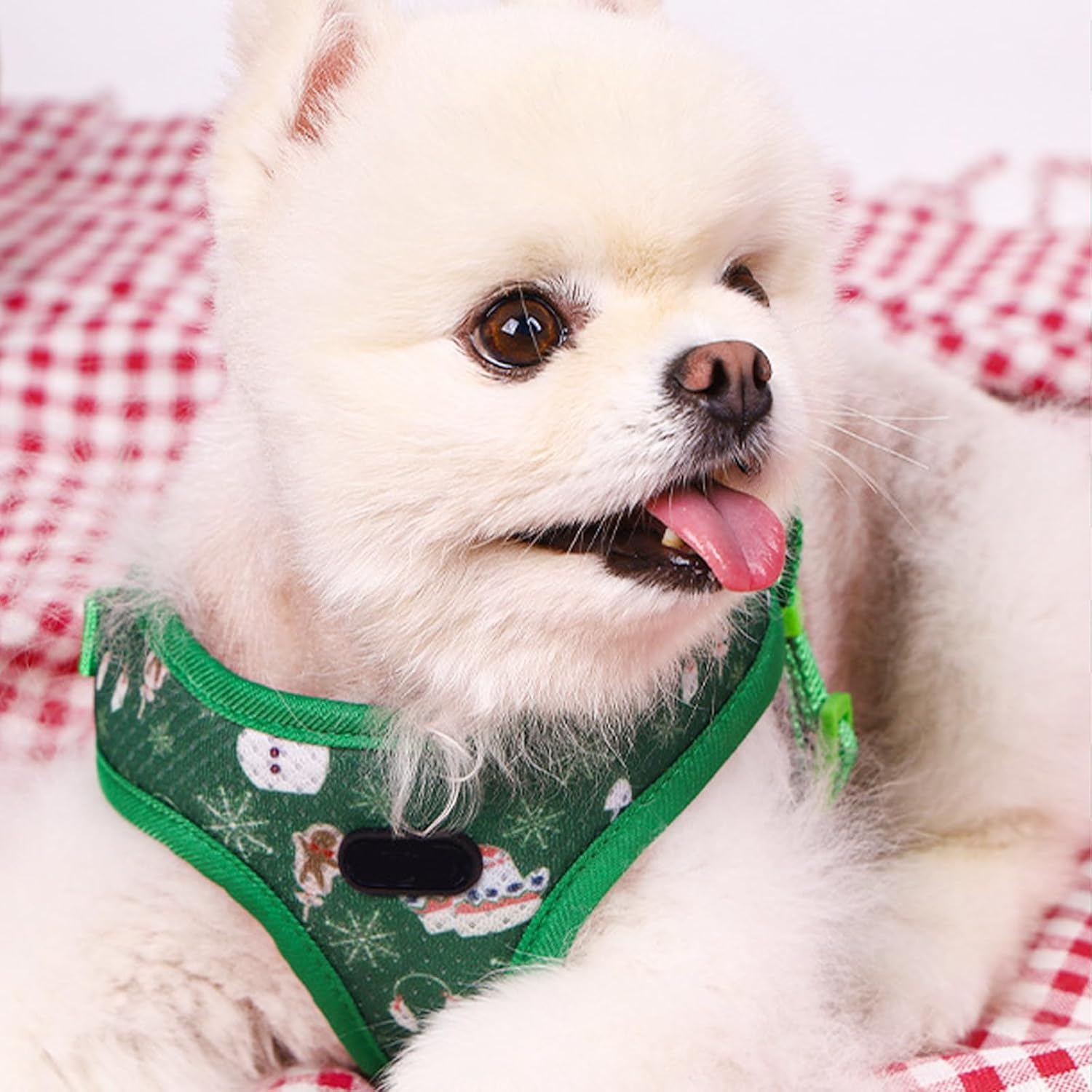 Christmas Pet Harness and Leash Set, Soft Breathable Mesh Puppy Harness with Leash for Walking, Training, Cute Reflective Step in Dog Harness for Small Medium Dogs Cats, Not Easy to Break Free (Green) image number 3