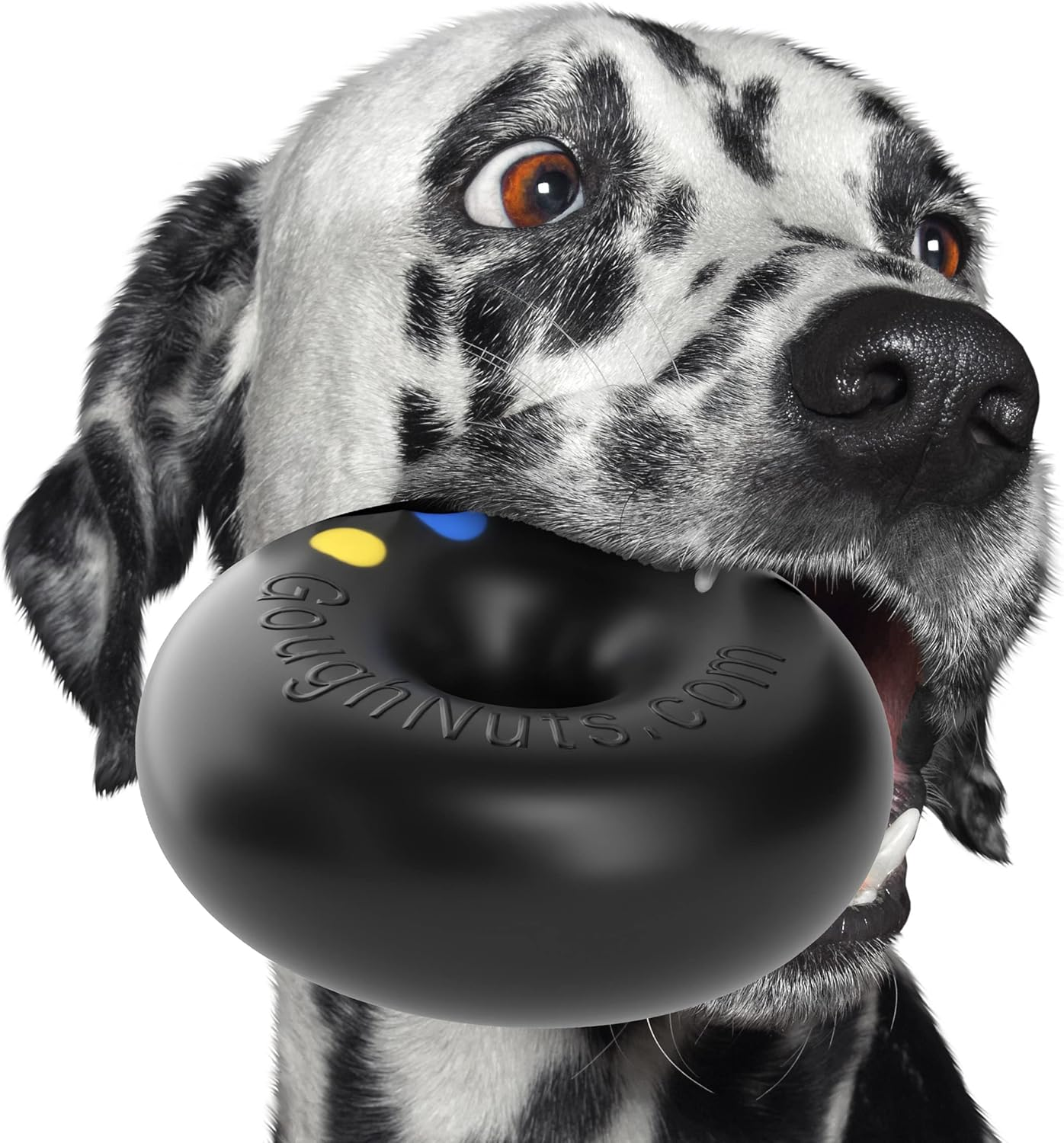Goughnuts - Rubber Dog Chew Toy, Med .75 - Black Pro 50 Ring image number 2