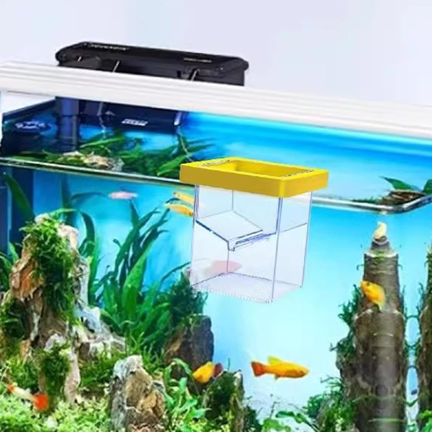 Ccuzs Fish Breeder Box, Aquarium Hatchery Incubator, Transparent Design Easy Installation Fish Nursery, Suction Cup Isolation Container for Aquatic Pets, 4.33X3.39X3.39 Inches image number 2