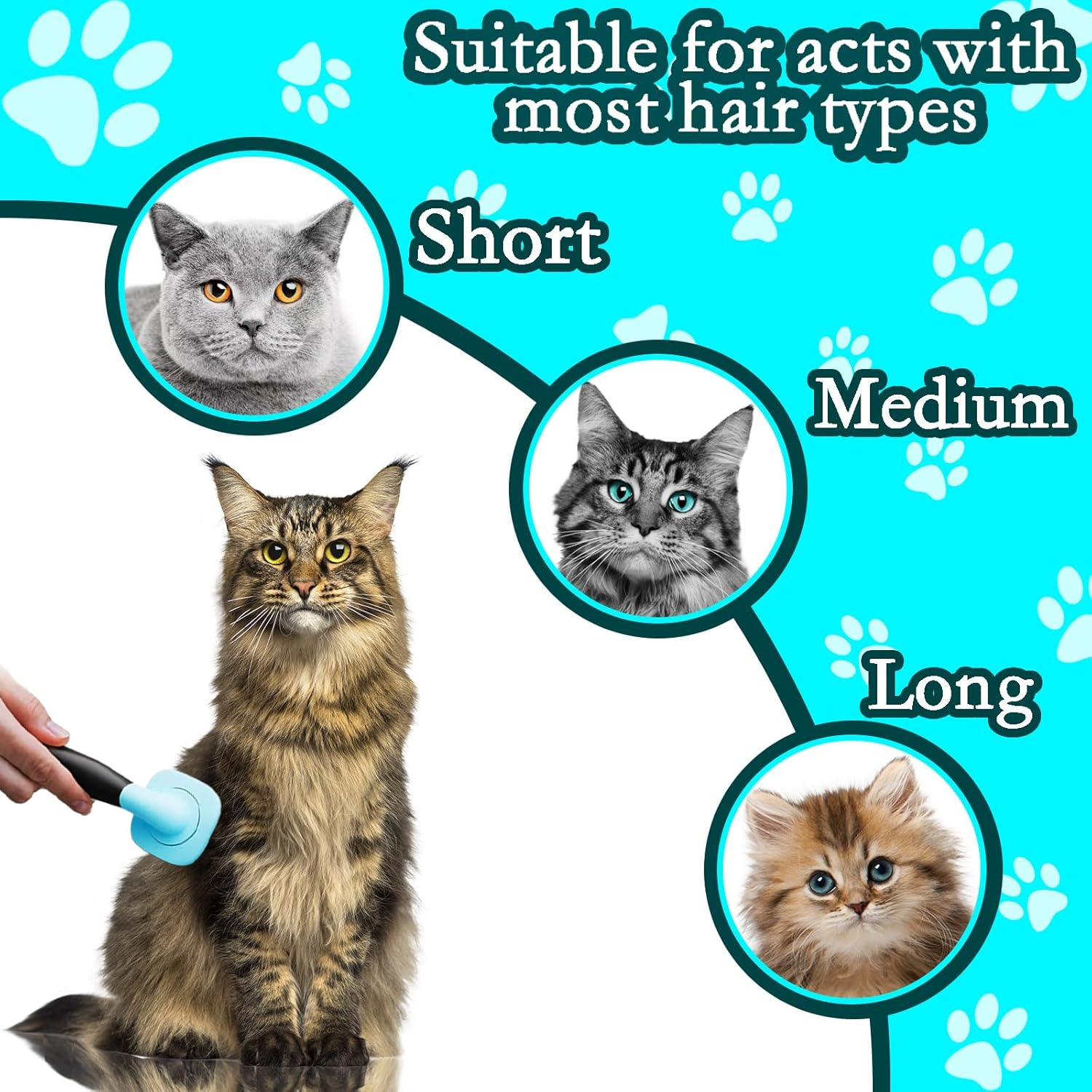 Gdsanlian Pet Brush, Dog & Cat Grooming Brush, Rotatable 360&deg; for Long & Short Hair, Blue, Suitable for Small Dogs & Cats image number 4