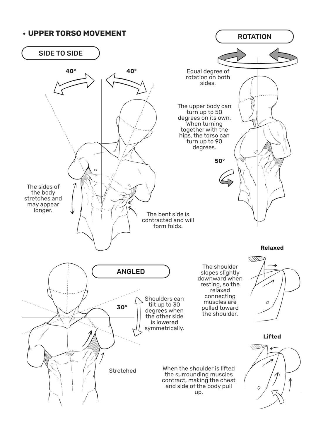 How to Draw Manga: the Male Physique image number 2