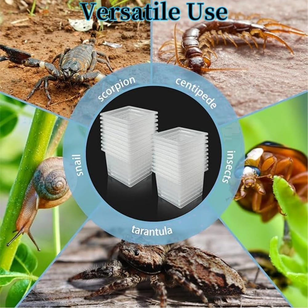 20 Pcs Tarantula Enclosure Insect Spider Terrariums Breeding Box,Insect Spider Terrariums Breeding Box,Small Reptile Arboreal Spider Mantis Scorpion Centipede Breeding Box Breeding Cage with Lid image number 5