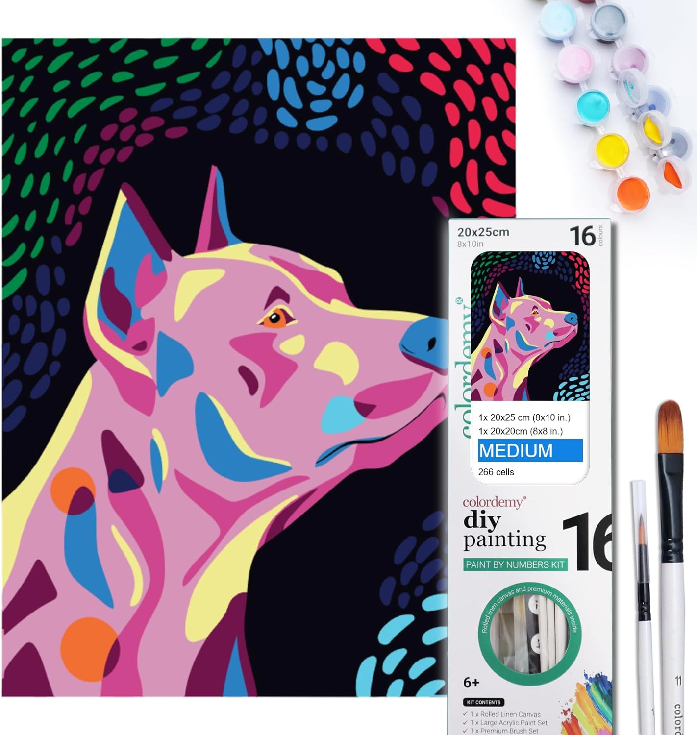 COLORDEMY 2-In-1 Paint by Numbers Kit - Rolled Canvases (20X25Cm & 20X20Cm), 16 Colours, Brushes & Paints Included - Fun for Adults & Kids, Perfect for Parties or Group Painting (Pinscher Design) - Corgi image number 5