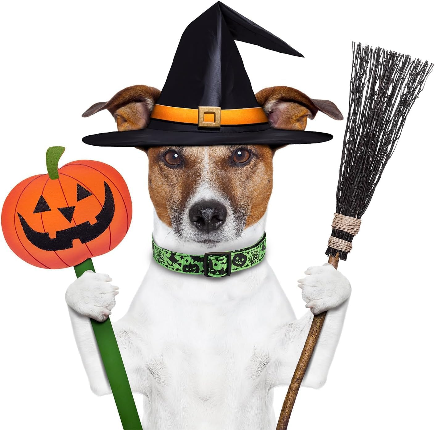 Halloween Dog Collar, Soft Comfy Halloween Themed Dog Collar with Skull Bat Cat Witch Tree Hat Pumpkin Pattern Halloween Dog Collar for Small Medium Large Dogs (Little Bat, XL：2.5 * 42-70CM) image number 1