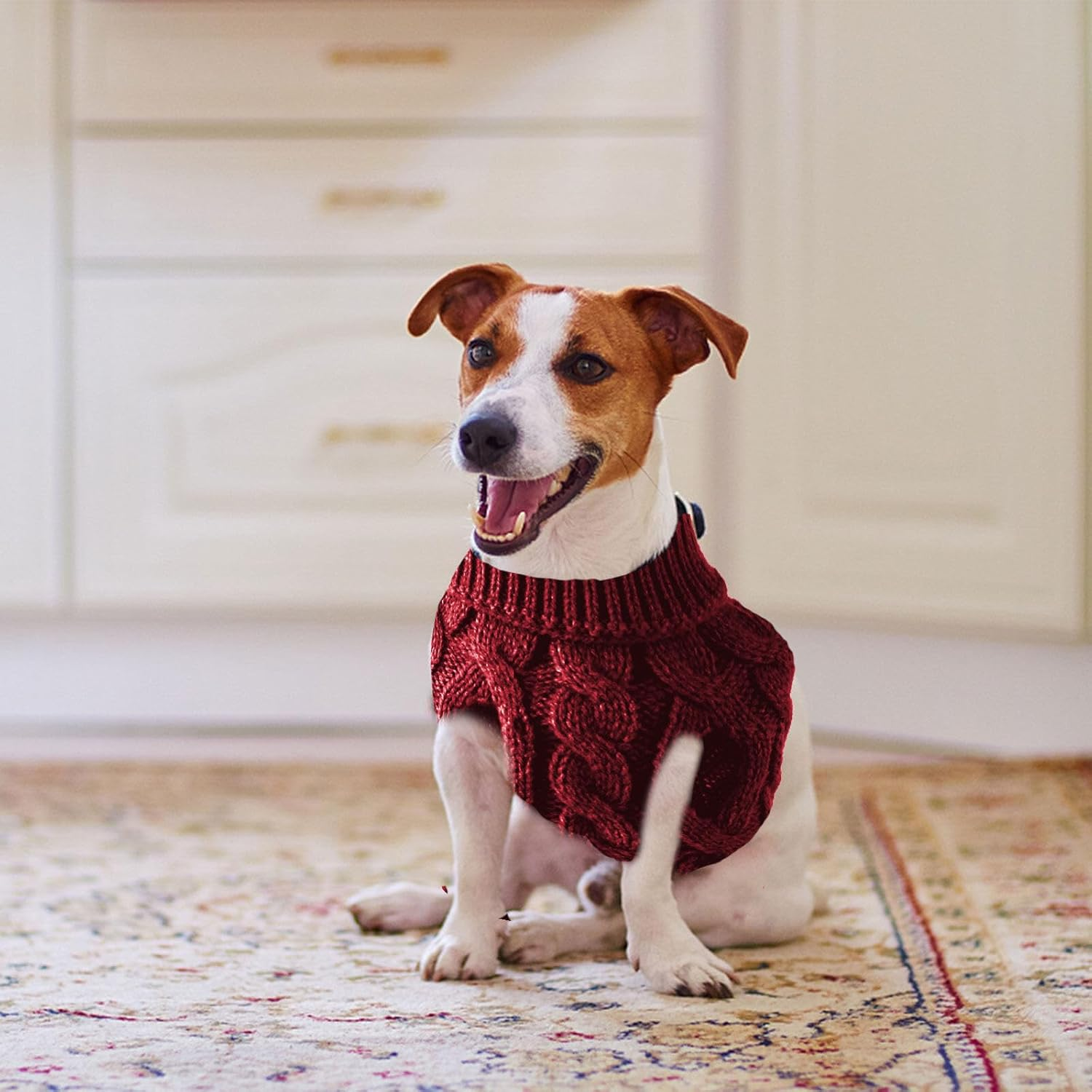 LASIEYO Dog Jumper, Small Dogs, Turtleneck Knitted Jumper, Winter Warm Dog Jumper, Pet Warm Jumper for Small Dogs (M) image number 5