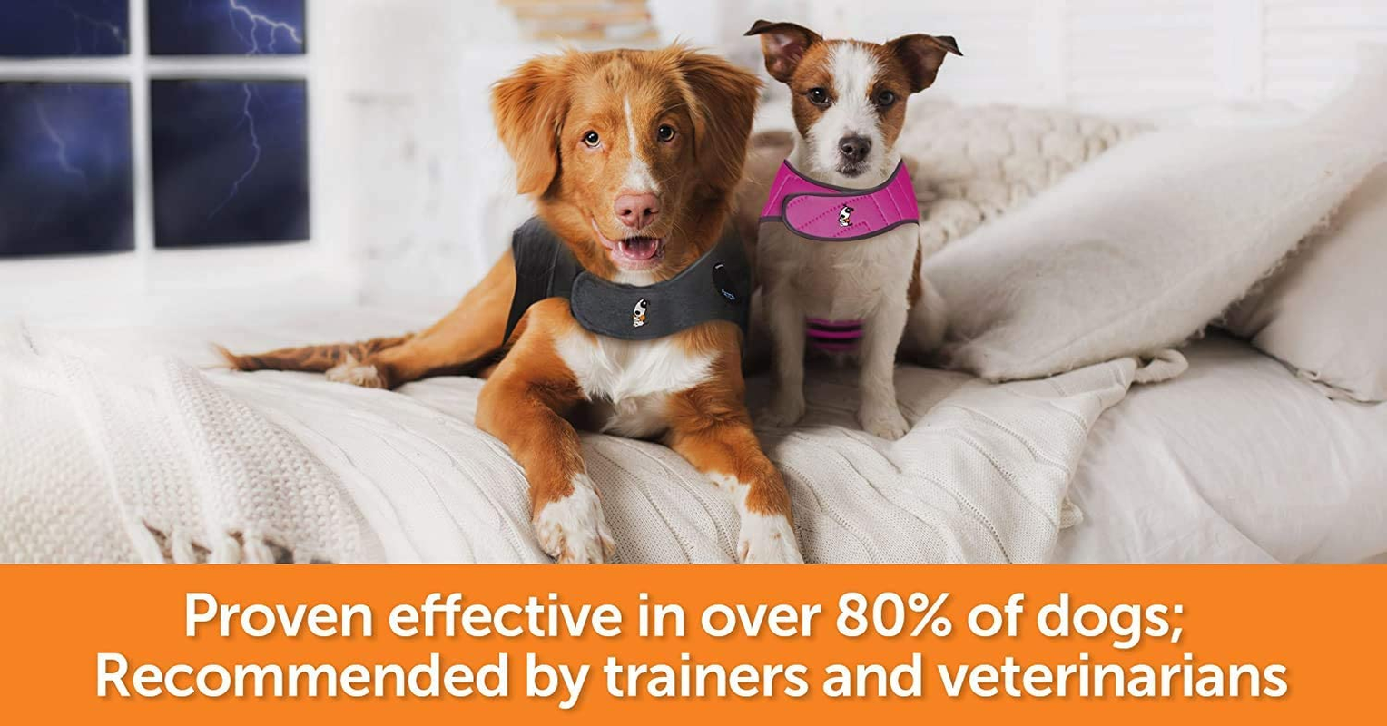 Ceva Thundershirt Dog Calming & Anxiety Jacket (Large) image number 3