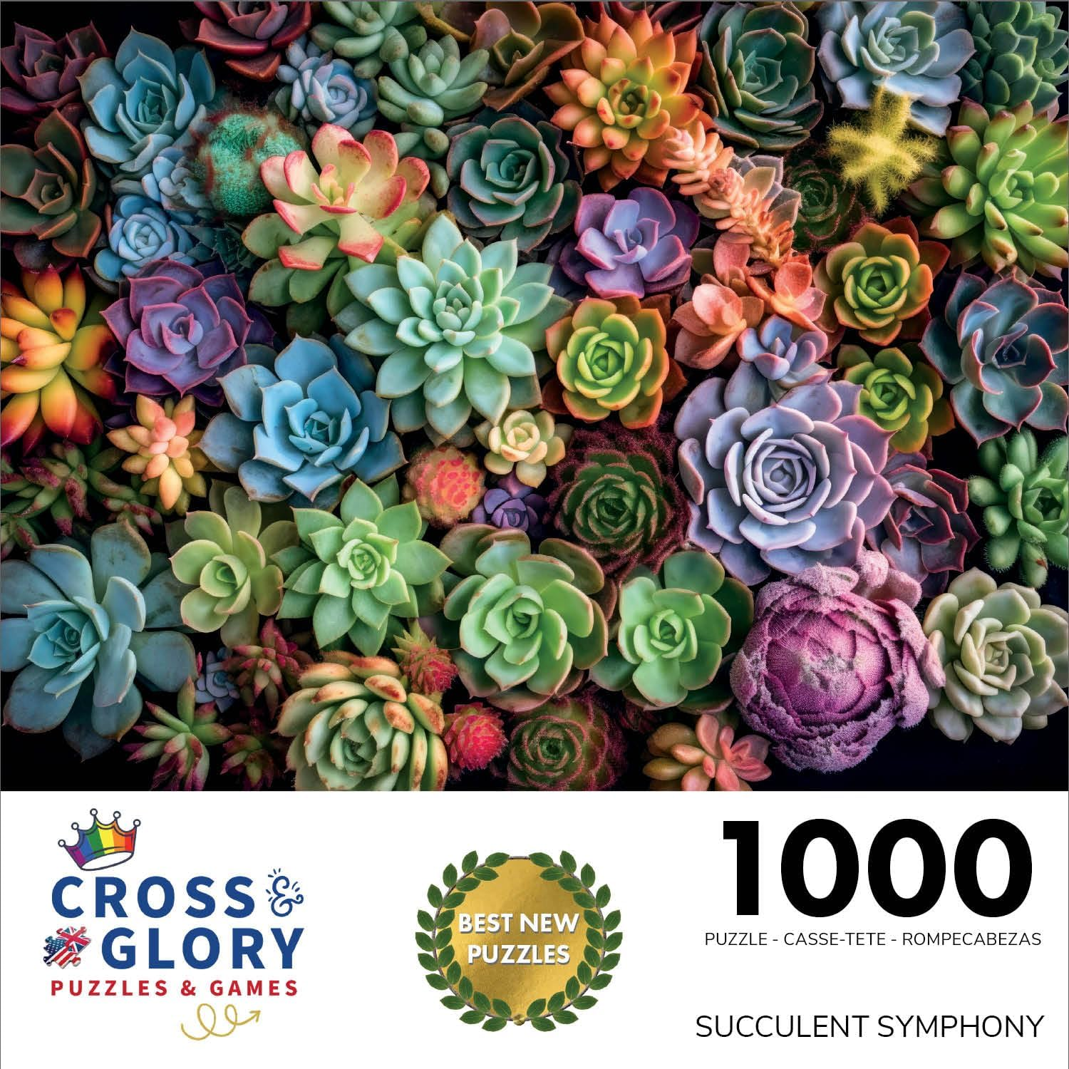 Cross & Glory &ndash; Succulent Symphony &ndash; 1000 Piece Jigsaw Puzzle for Adults | Premium Quality | Colourful Artwork Puzzle | 1000 Piece Succulent Puzzle - Garden Of Colors image number 3