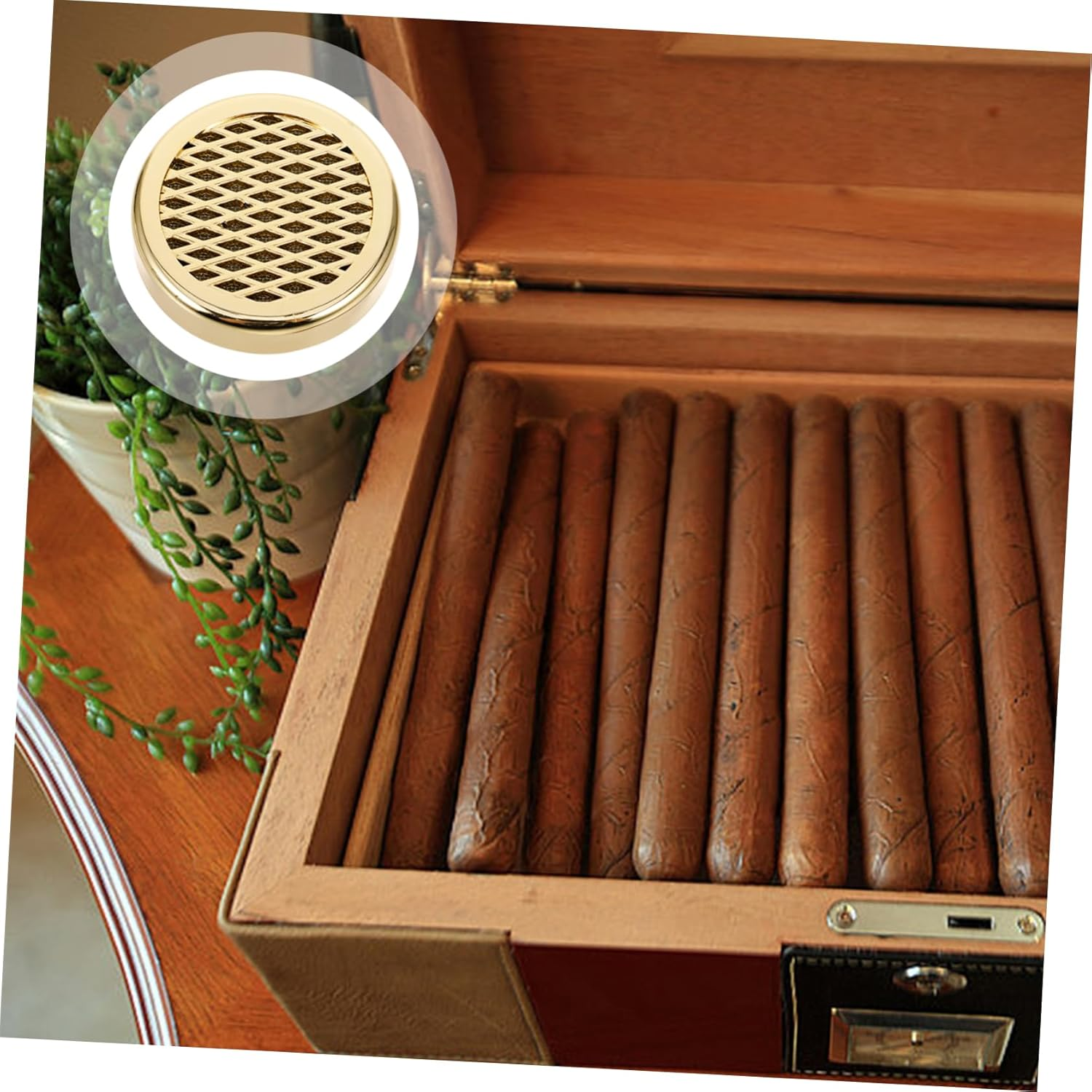 GOOHOCHY round Humidor Humidifier Sponge for Cigar Box Reusable Humidify Piece Maintains Optimal Humidity Fits Cigar Sizes