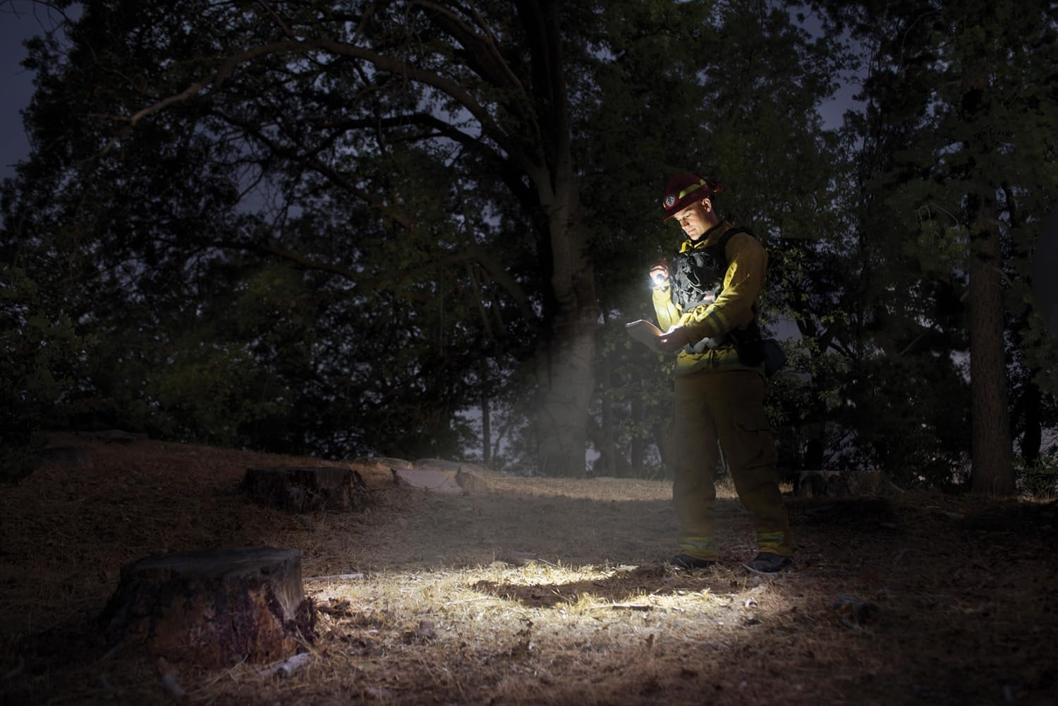 Maglite Mini LED 2-Cell AAA Flashlight - Red image number 3