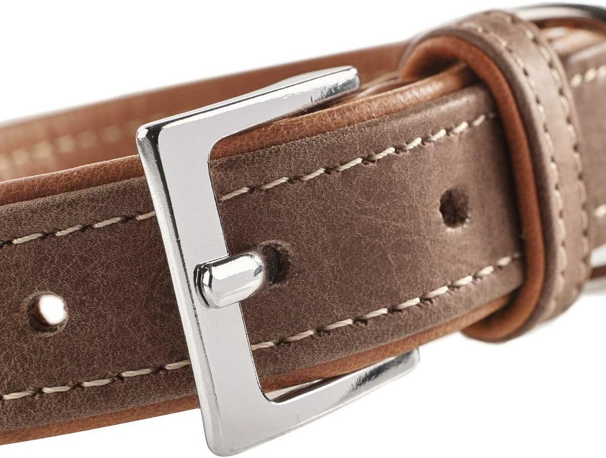 Hunter PORTO Dog Collar with Olive Leaf Tanned Premium Leather, Environmentally Friendly and Sustainable image number 1