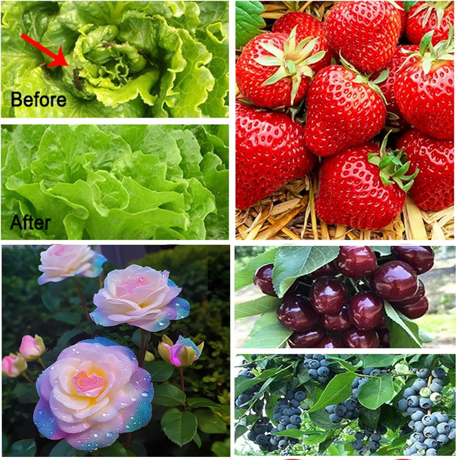 Cozioz Garden Netting 3X20M Ultra Fine Mesh for Pest Bird Insect Barrier &ndash; Plant Cover for Vegetables Fruits Flowers Raised Beds Greenhouse Patio image number 2