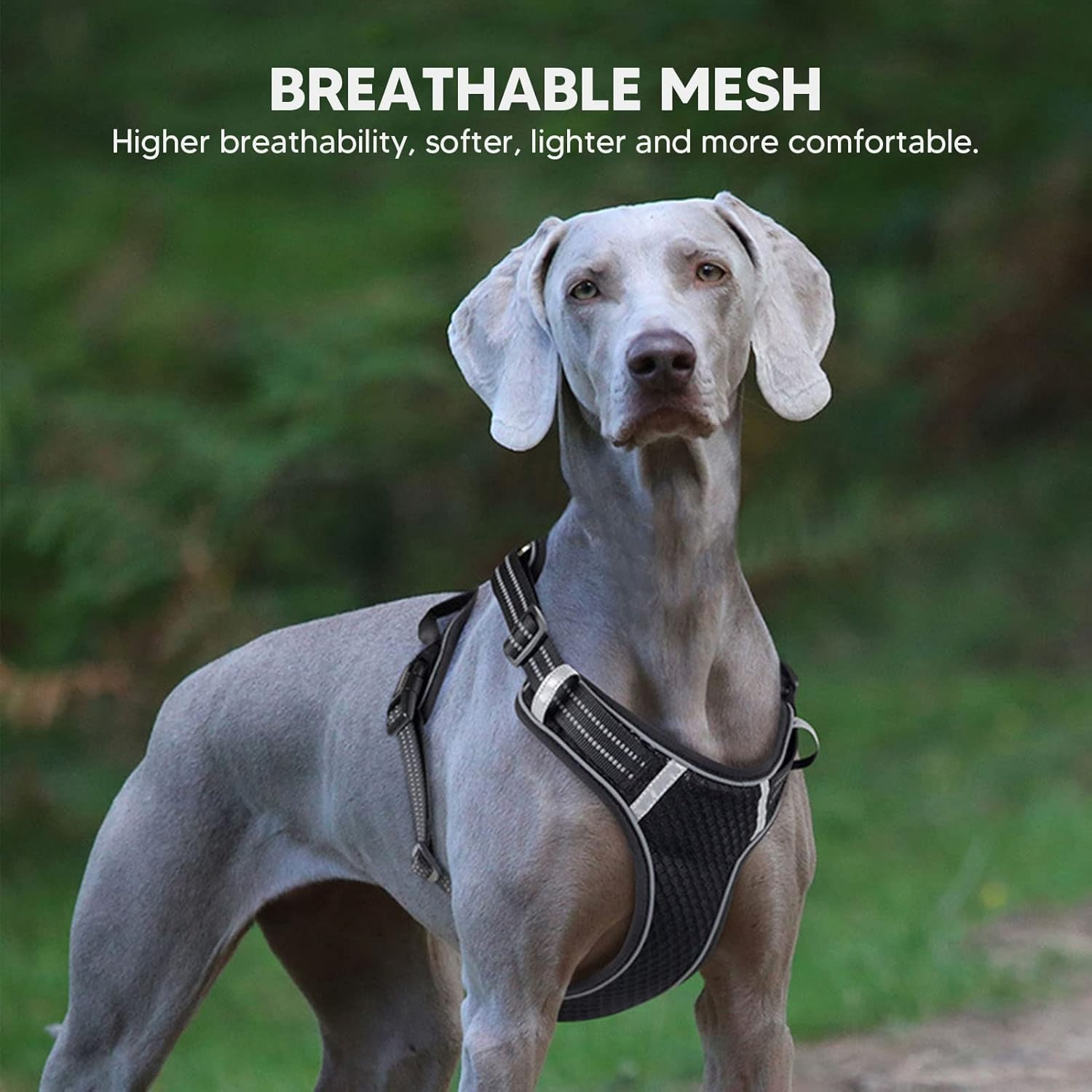 Dog Harness, Adjustable Breathable Reflective Dog Vest with Alloy Traction Buckle, No Pull Pet Chest Harness for Small Medium Large Dogs Outdoor Walking Training (S) image number 1