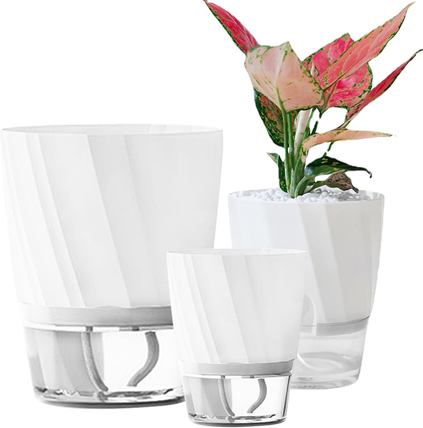 ROLMZJX 4 Pack Self Watering Pots,African Violet Pots，Clear Plastic round Plant Pots for Succulent, Flowers, Herbs for Office Home Decor（White-Large/Medium/Small） image number 5