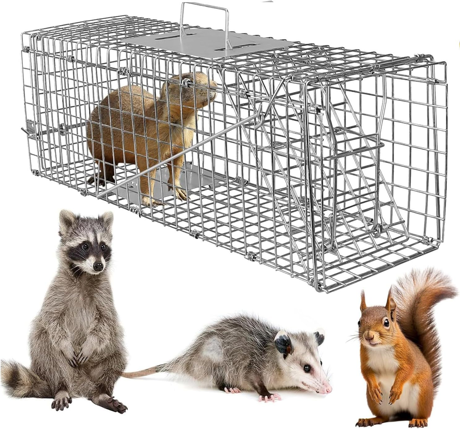 Live Animal Trap Humane Cat Trap Catch Forfor Catching Small Animals like Raccoons, Beavers, Groundhogs, Foxes, Armadillos, Cats, Rabbits, Skunks, Possums. Humane Catch - and - Release.