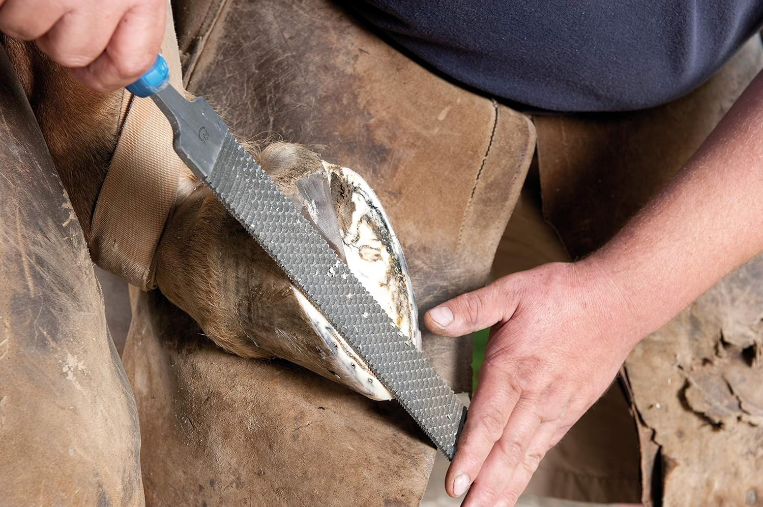 PFERD - Hoof Rasp 350 Mm Rectangular Flat Blunt File Rasp Various Cuts on Four Sides 11313351 - for Hoof Processing image number 5