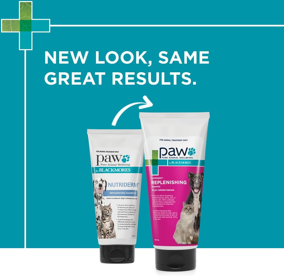 PAW by Blackmores Nutriderm&reg; Replenishing Shampoo for Dogs and Cats | Tailored for Soothing, Cleansing & Treating Inflamed & Irritated Skin |200Ml image number 5