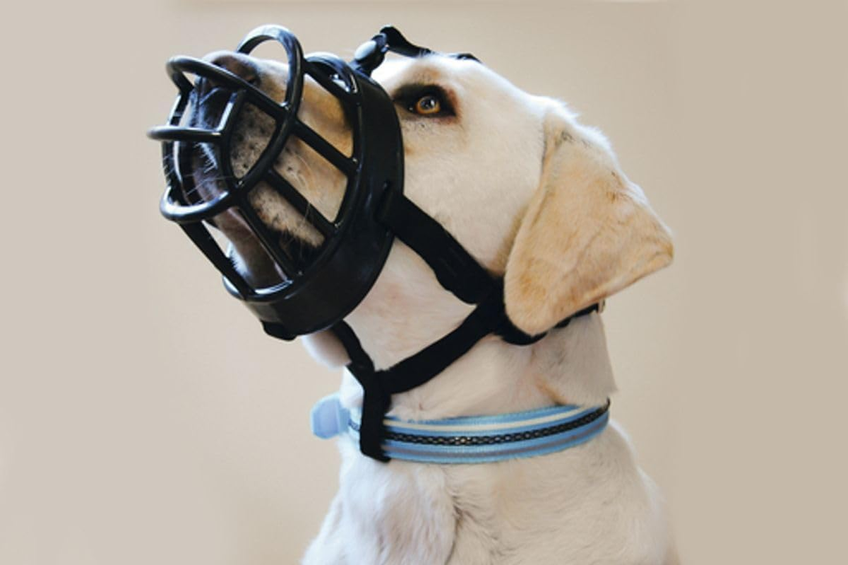 JULIUS Dog Vest Harness 300 G