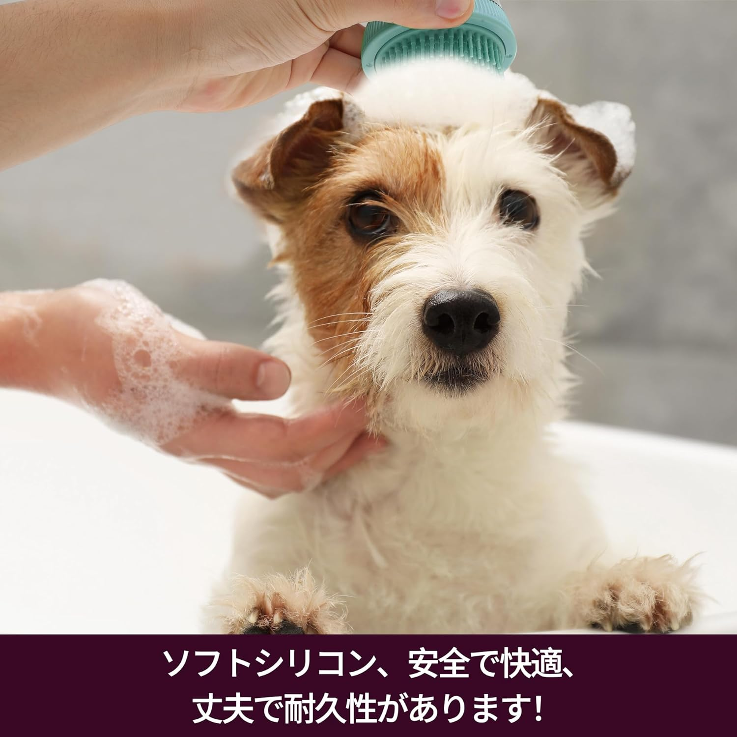 CAPASTEC Pet Brush, Bath Brush for Cats and Dogs, Pet Grooming Brush, Easy Detangling Puppy Brush for Hair Massage Indoor and Outdoor, Lake Blue image number 5