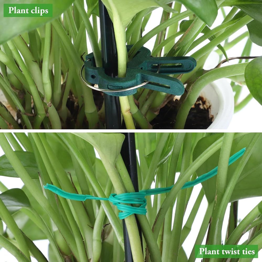 6 Pack Plant Support Stakes,10" W X 32" H Half round Ring Metal Plant Support Stakes, with Plant Clip, Garden Wire and Gloves,For Indoor and Outdoor Plants, Vegetable, Flowers image number 1