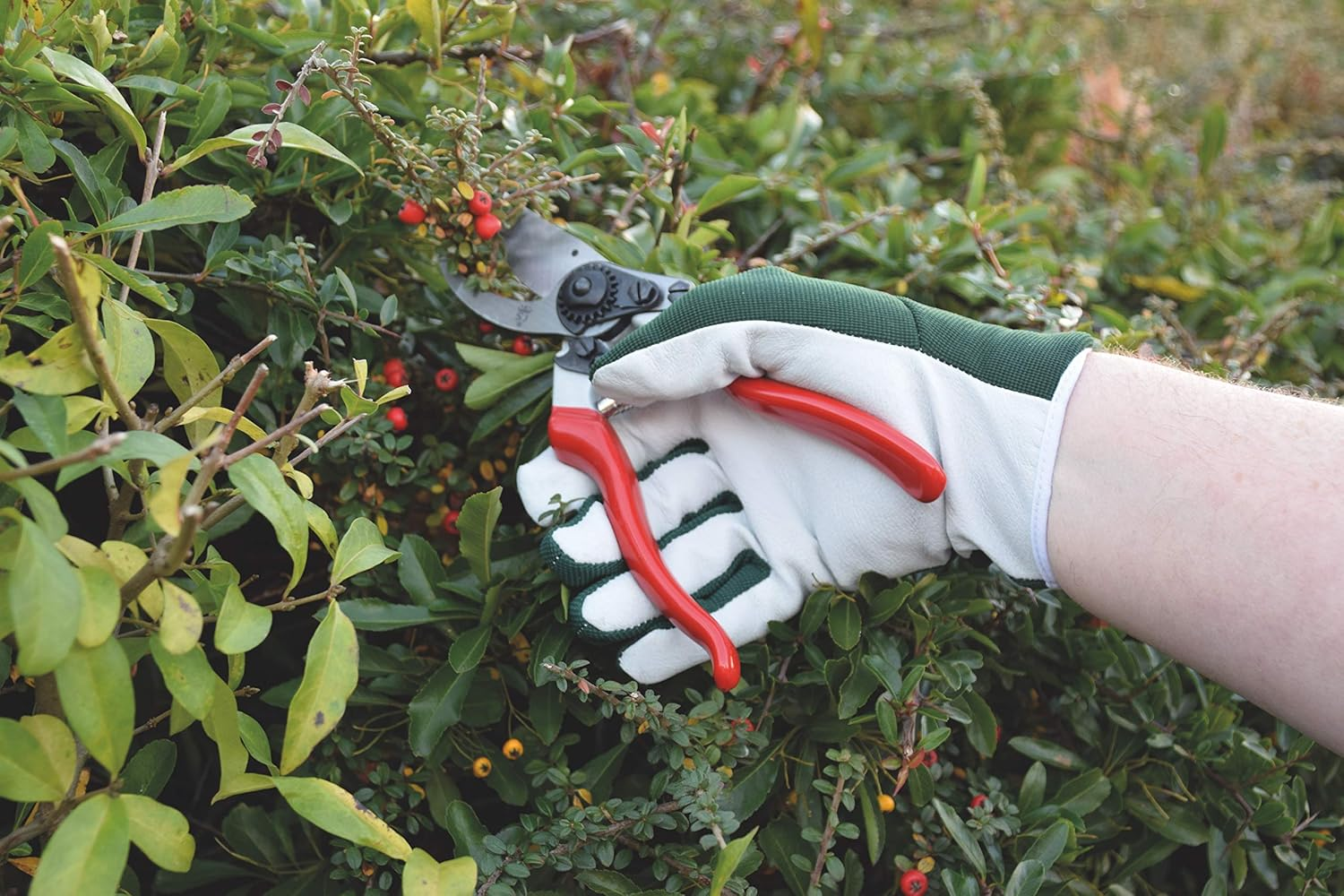 Spear & Jackson Kew Gardens Collection Green Leather Palm Gloves, Medium image number 2