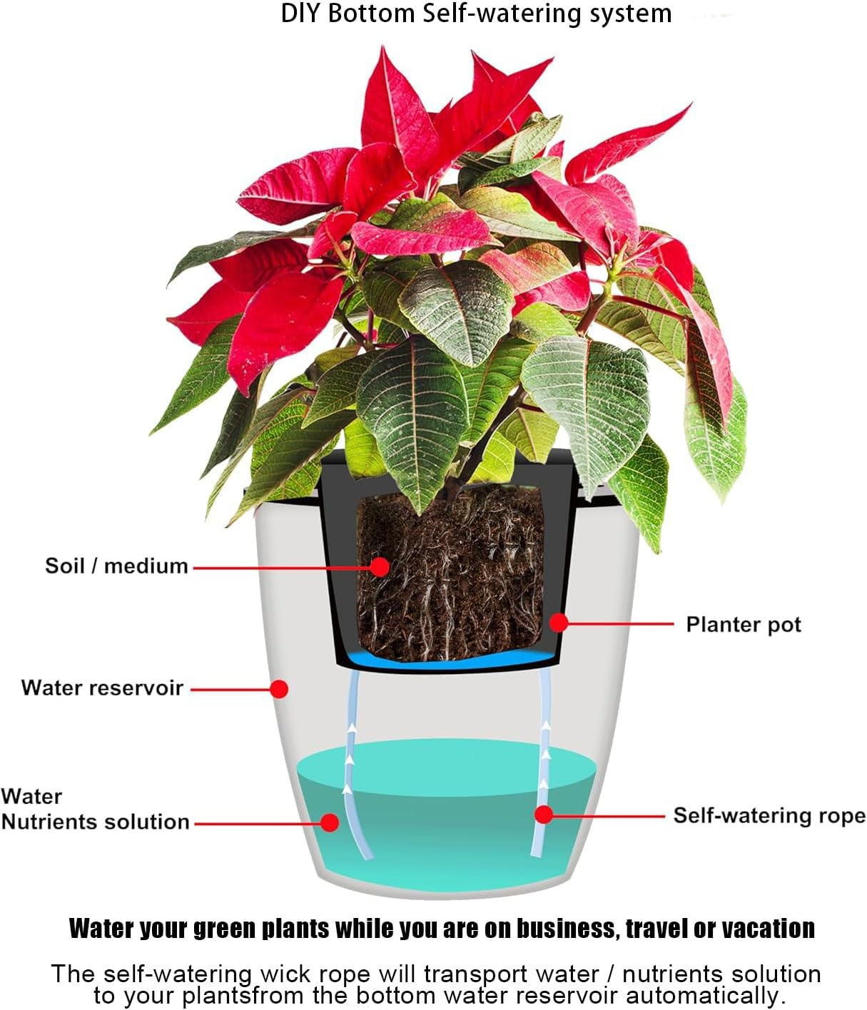 WEZCHUGHAOL 4Mm Self Watering Wick Cord - 10M Cotton String for Potted Plants, Automatic Drip Irrigation System, DIY Vacation Plant Waterer for African Violet, Herbs, No Electricity Needed image number 1