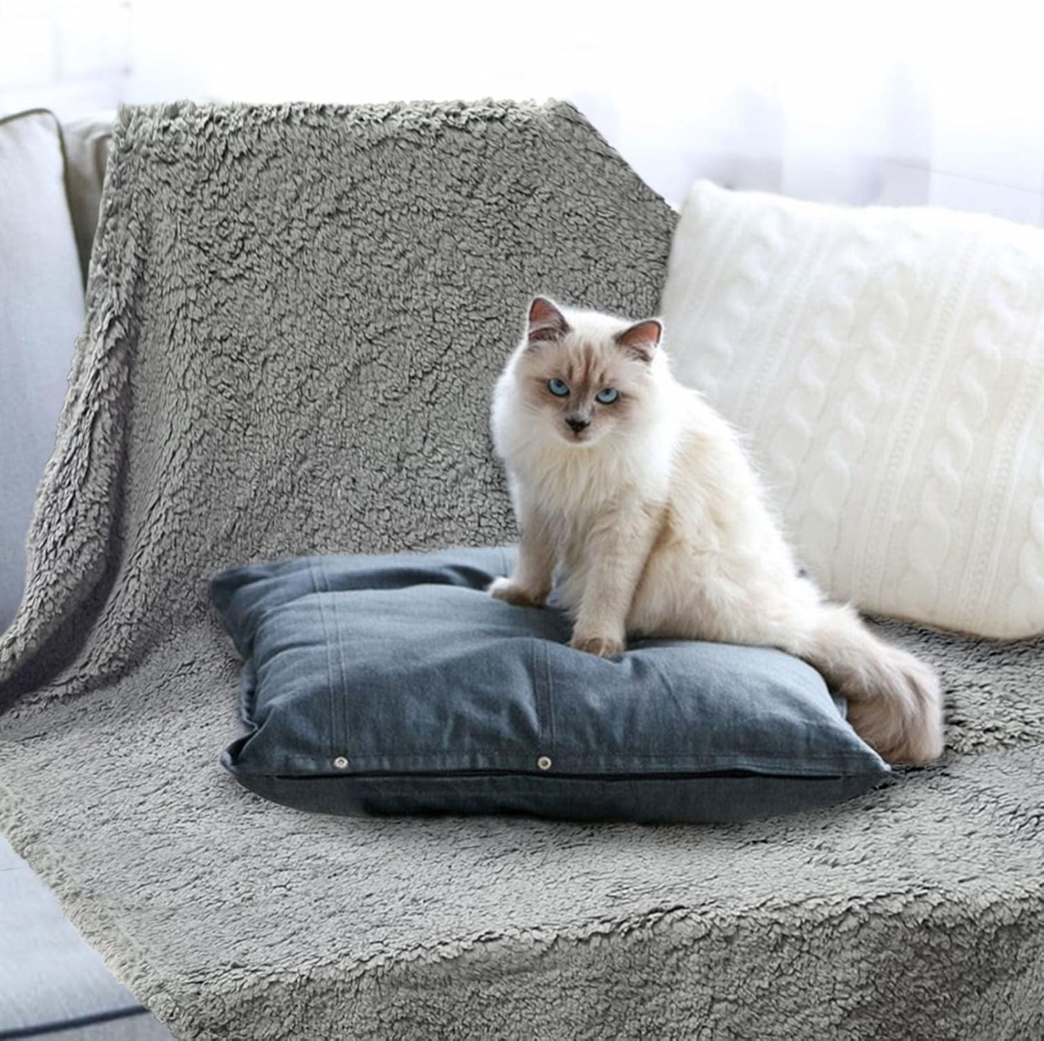 Yanmucy Dog Blanket Washable Fleece Blanket Fluffy Cat Blanket for Indoor Cats Soft Puppy Blankets Dog Blankets Large Washable Pet Blanket for Small Medium Large Dog Sofa Bed Protector (S, Grey) image number 3