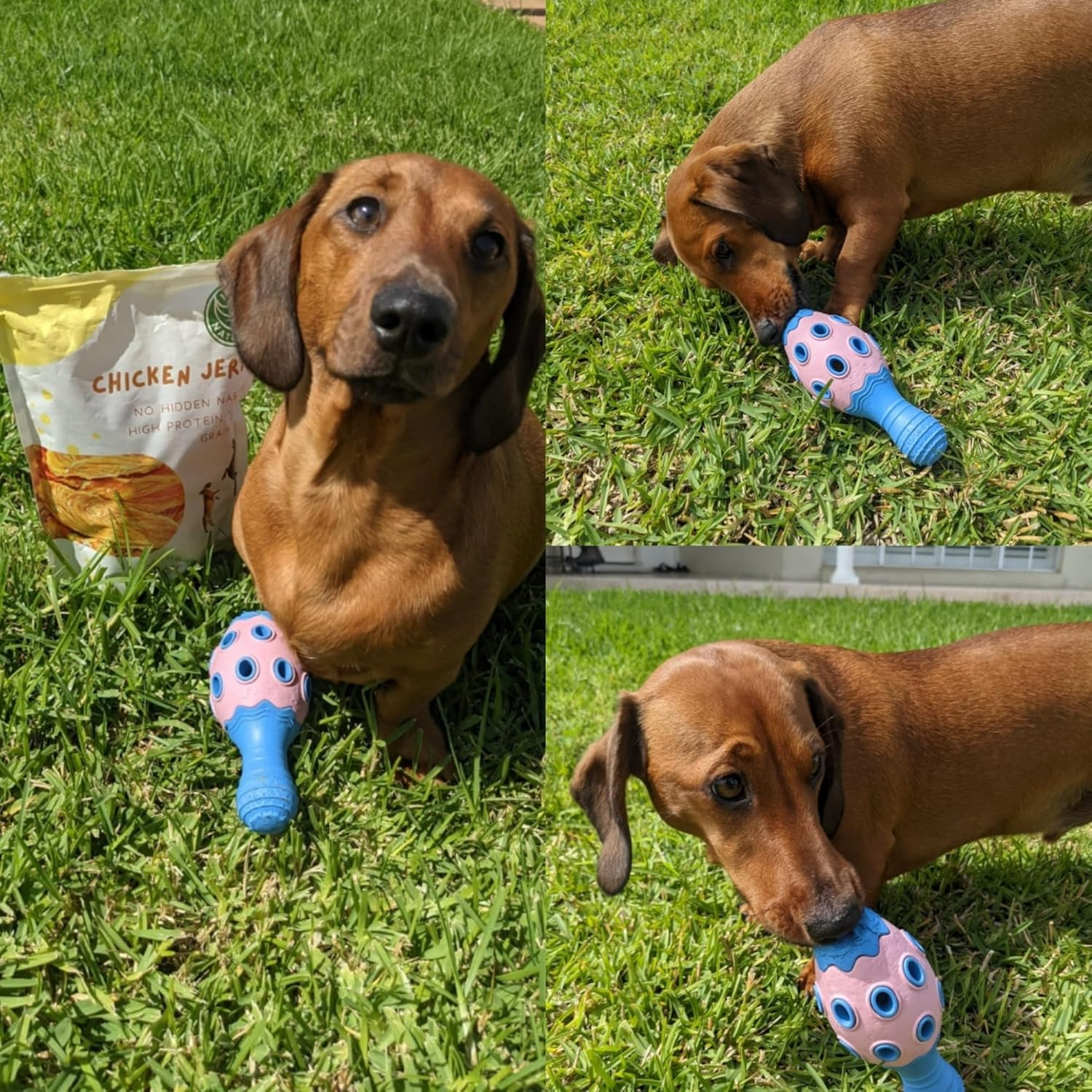 Tuggy Dog Chew Toy,Tough Durable, Bowling Pin Interactive Dog Toys, Food & Treat Puzzle Slow Feeder Dispenser, IQ Mental Stimulation & Enrichment, Small Meduium Large Breed (Yellow/Navy) - Pink/Blue image number 3