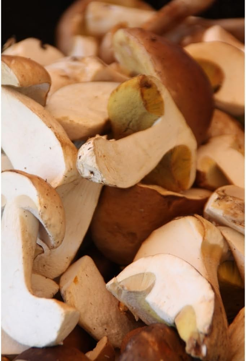 Heng Fai Sliced Mushrooms 80G
