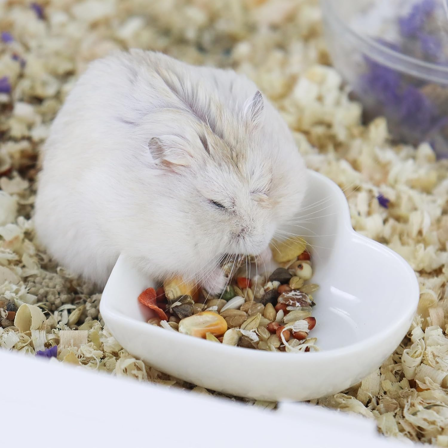 Luckyopt Hamster Bowl Ceramic Heart Shape Pet Feeding Bowl Washable Small Animal Bowls Hamster Water Bowl for Guinea Pigs, Gerbils, Hedgehogs, Chinchilla, Parrot (Red) image number 1