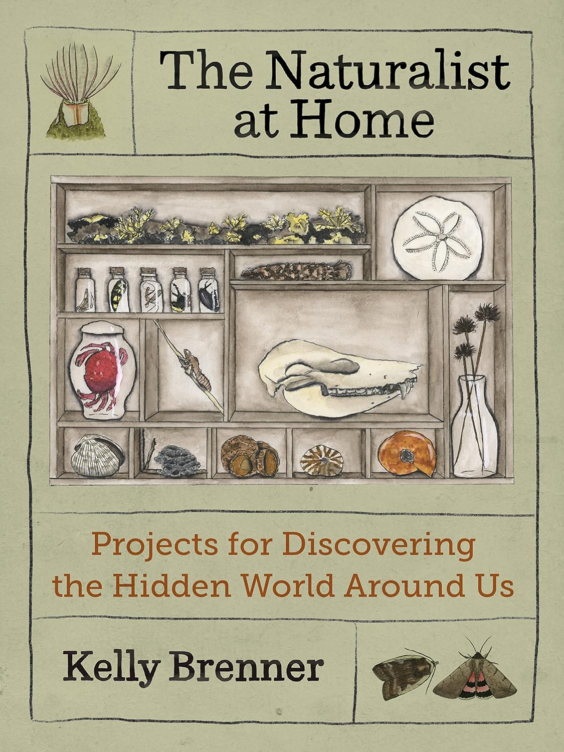 The Naturalist at Home: Projects for Discovering the Hidden World around Us image number 1