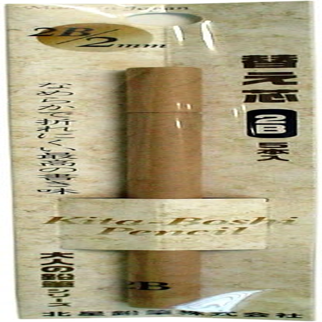 Kitaboshi 2.0Mm Lead Refills for Mechanical Pencil, 2B, Black Lead, 5Ea/Pk (OTP-1502B) image number 1