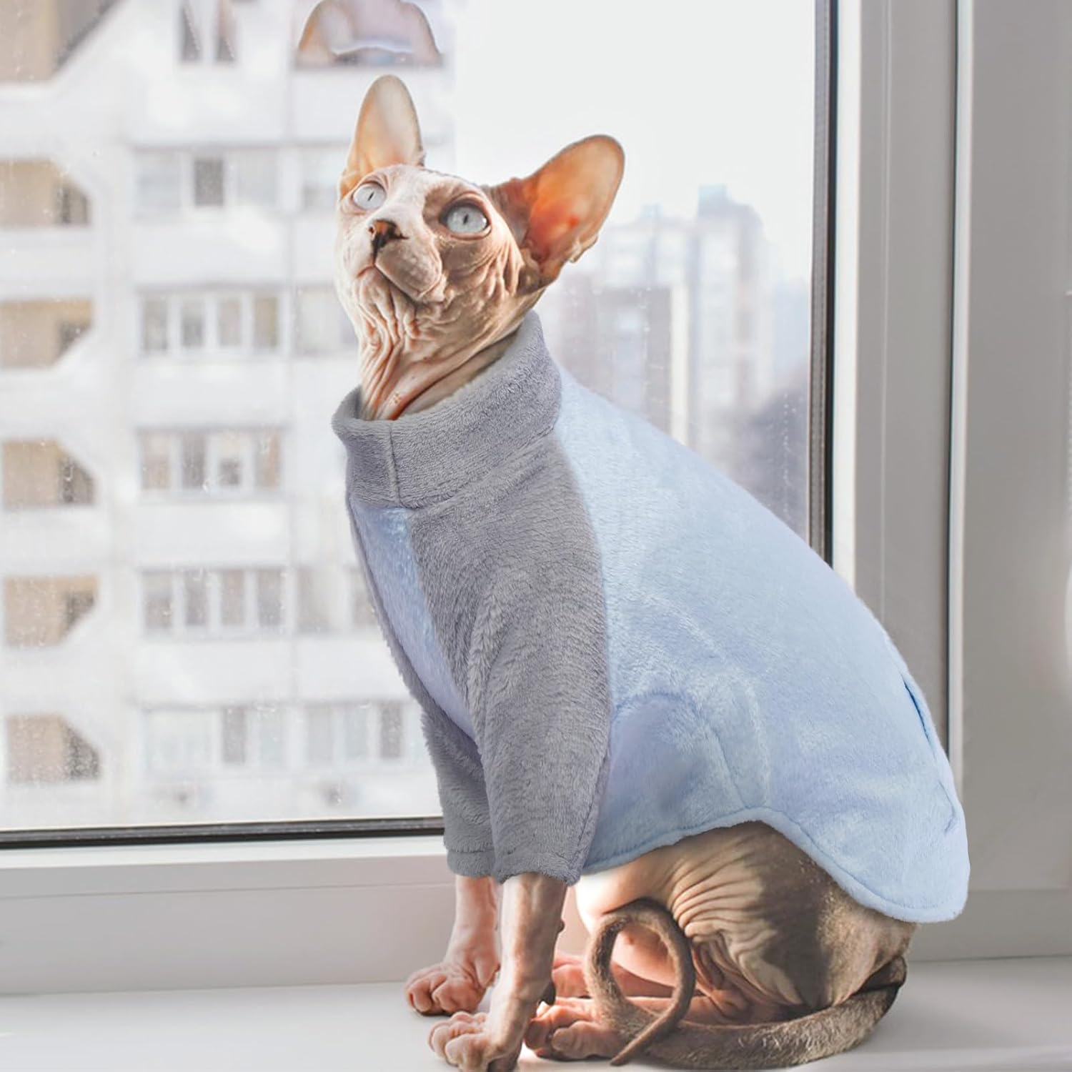 Sphynx Winter Coat for Cats, Hairless Cat Clothes, Fleece, Turtleneck Sweater (Blue, 2XL) image number 2