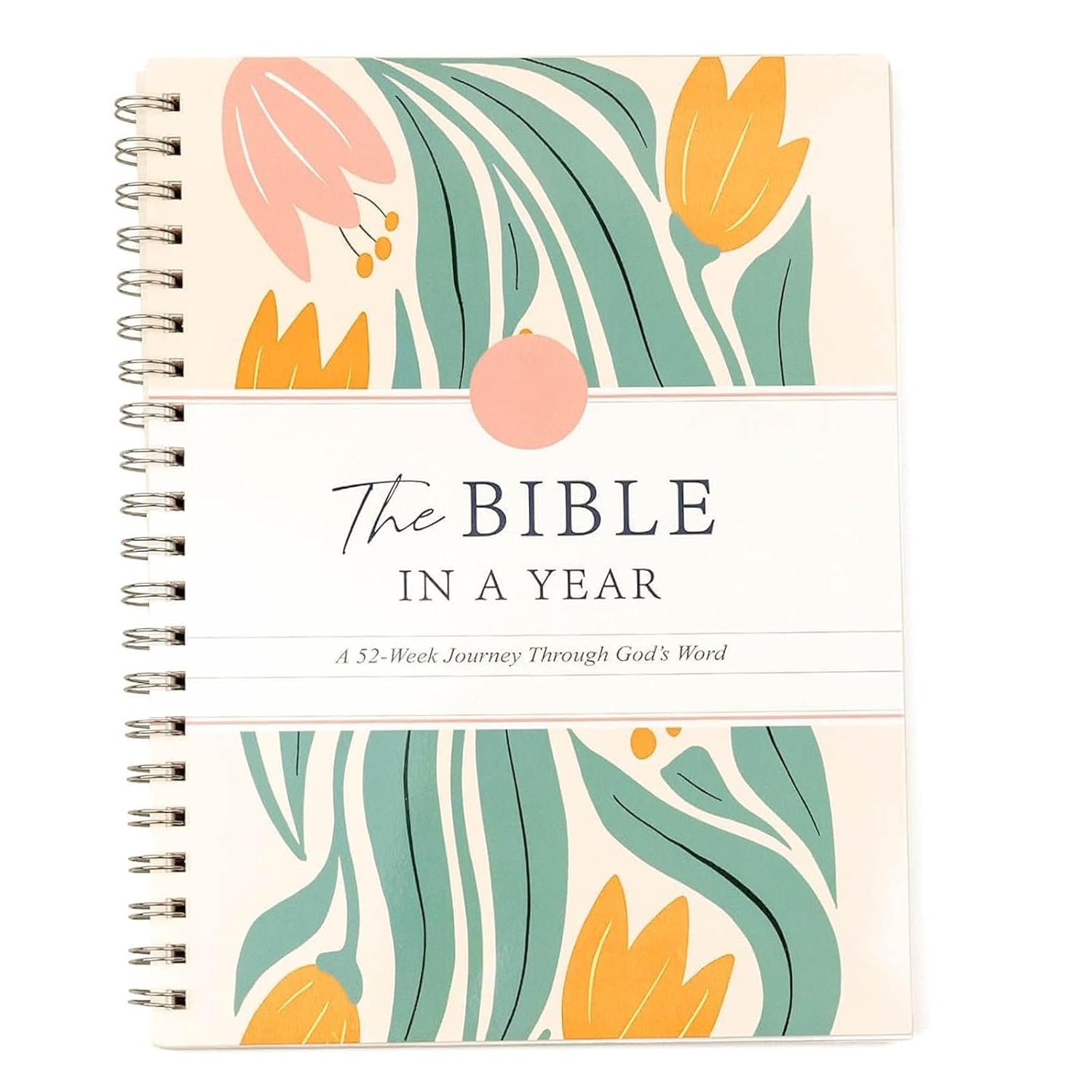 Kicttule the Bible in a Year: 52-Week Study Guide with Daily Reading Plan, Spiritual Growth Devotional Journal for Personal & Group Bible Study image number 4