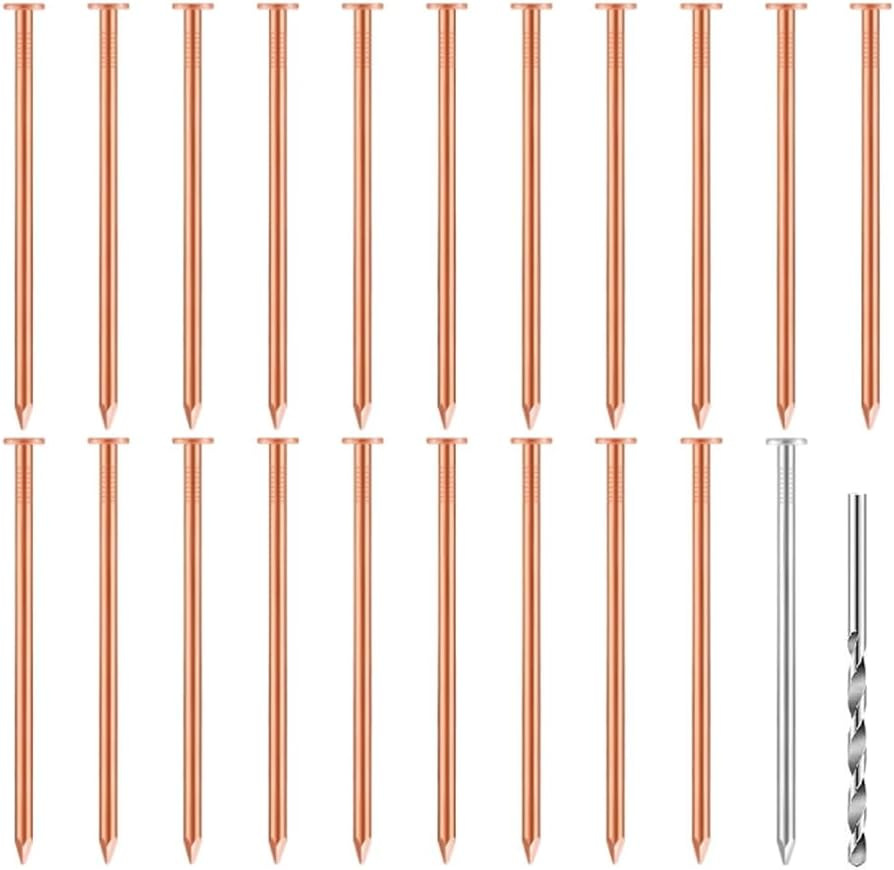 20 Pcs Copper Nails for Killing Trees, Stumps & - 3.5 Inch Long Come with 1 Steel Nails and 1 Drill Nail image number 4