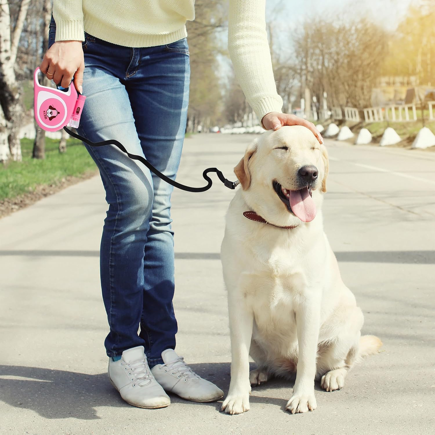 Retoo Retractable Dog Lead 5 M for Small and Large Dogs, Flexible Band for Right Walks, Dog Leash, Comfortable Handle, Belt Lead, Robust Extendable Lead for Walking, Roll Lead, High-Quality Lead