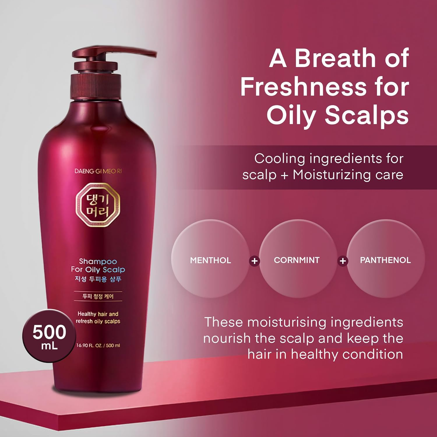 Daeng Gi Meo Ri Shampoo (500Ml) - for Oily Scalp image number 1