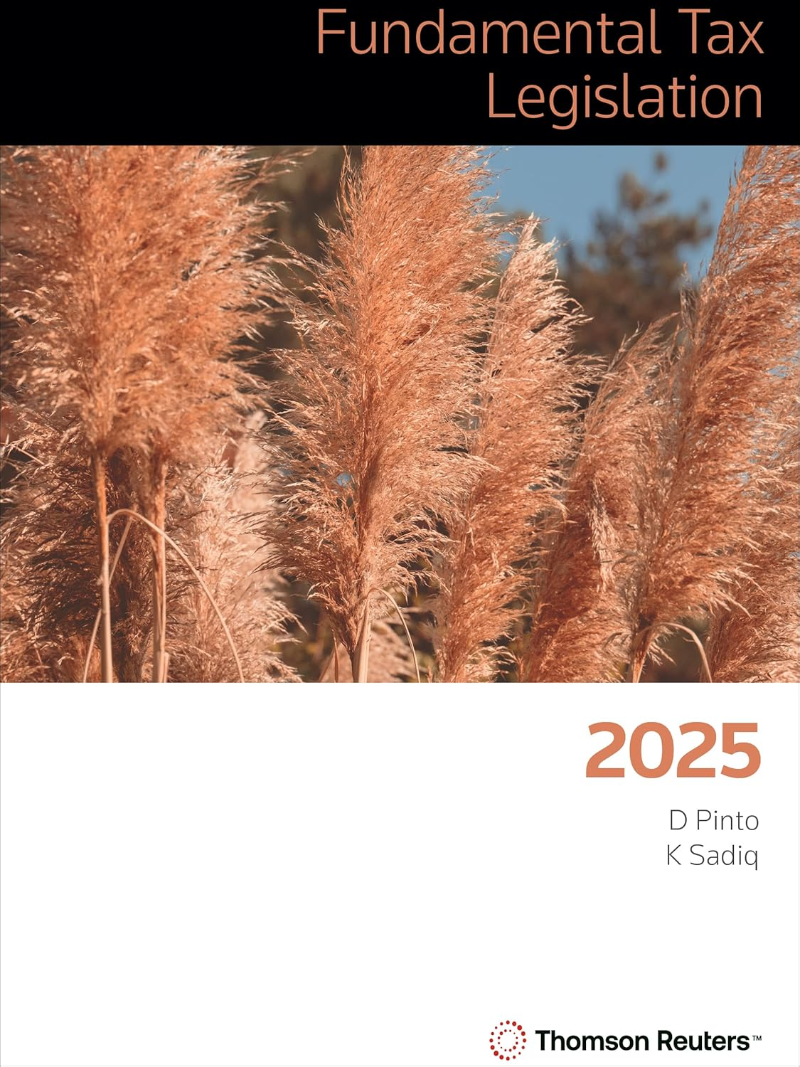 Fundamental Tax Legislation 2025