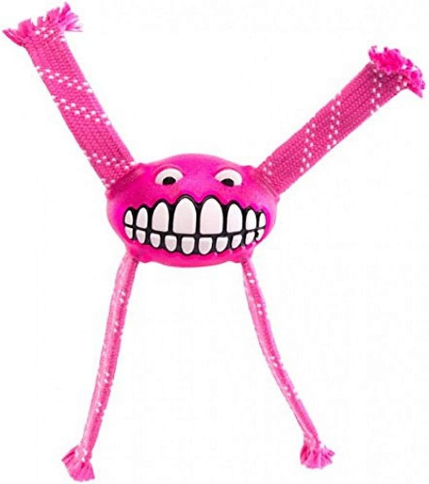 Rogz Flossy Grinz Throw and Fetch Dental Dog Toy Lime Medium