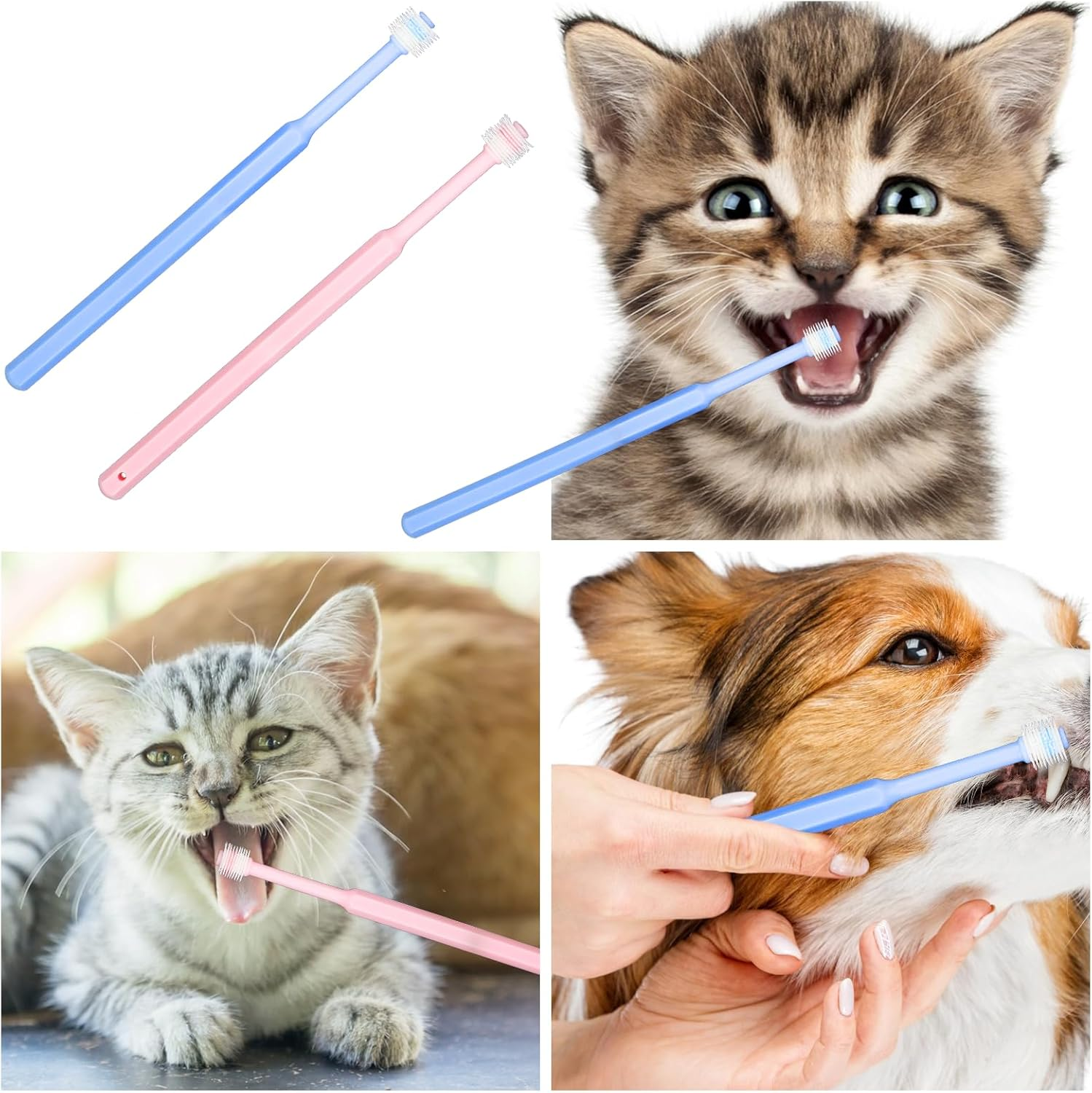 2 Pack Small Dog Toothbrush, 360 Degree Silicone Cat Toothbrush Pet Dental Care Dog Oral Hygiene Deep Clean Pet Teeth Cleaning Set Soft Bristles Fresh Breath Medium image number 3