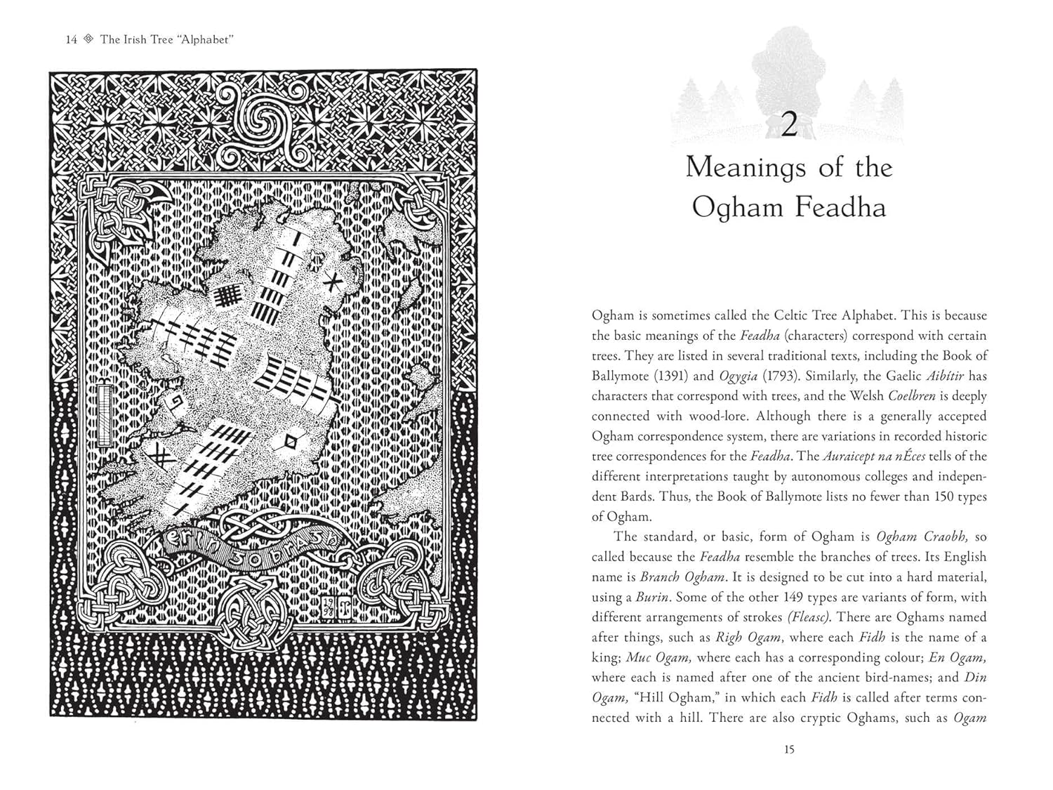 Celtic Tree Alphabets: Mystic Signs and Symbols of Ogham and Coelbren image number 4