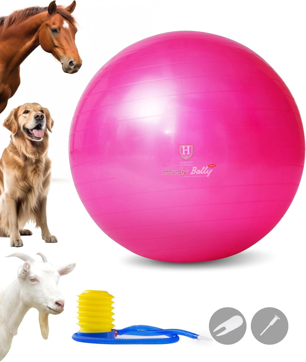 Harrison Howard Howdy Bally Mega Horse Play Ball Anti-Burst Giant Horse Ball 22 Inch-Magenta image number 5