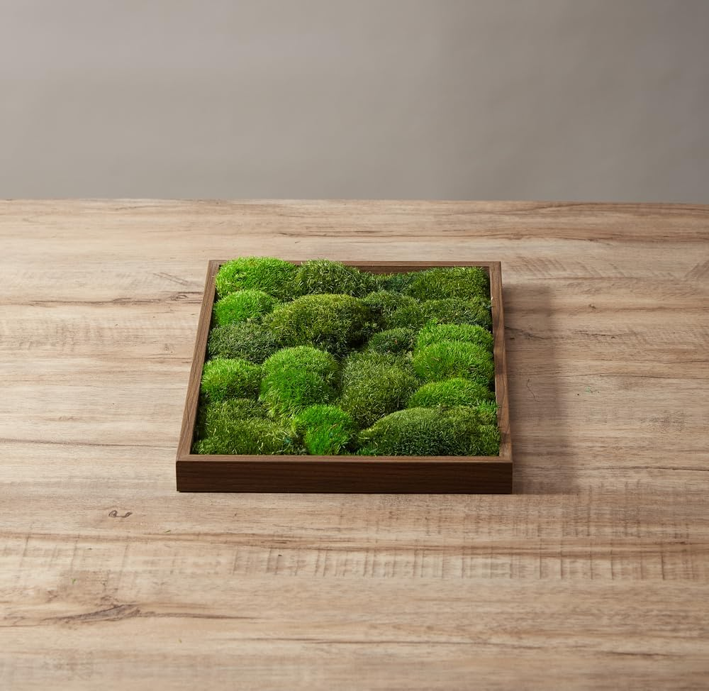 Prefleur 2 Color Mix Pack Preserved Pole Moss Pillow Bun Cushion Natural DIY Kit Art Wall Decor Florist Easter Table Wedding (1.5 Sq.Ft, Green-A, Green-B) image number 1