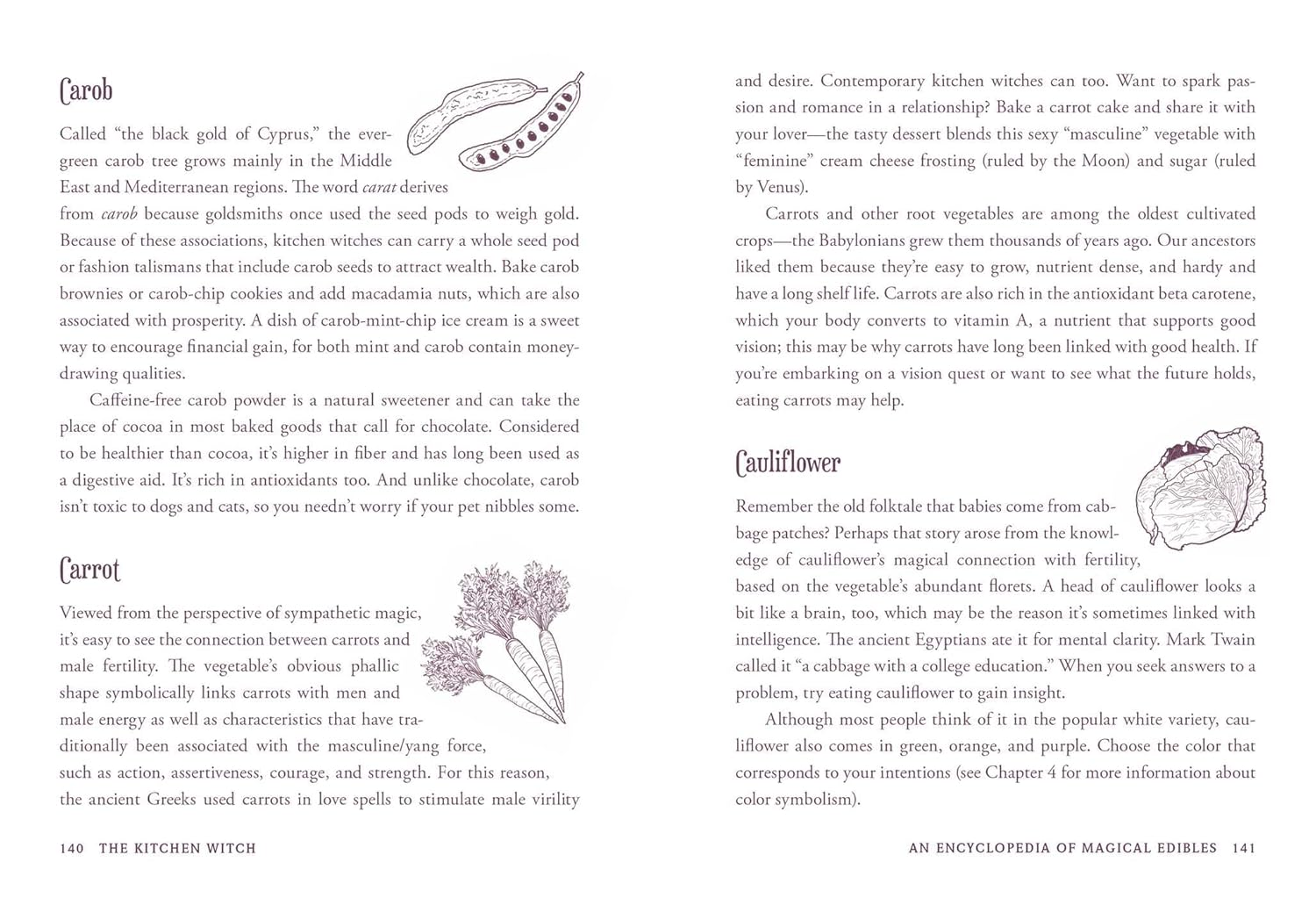 The Kitchen Witch: Your Complete Guide to Creating a Magical Kitchen with Natural Ingredients, Sacred Rituals, and Spellwork