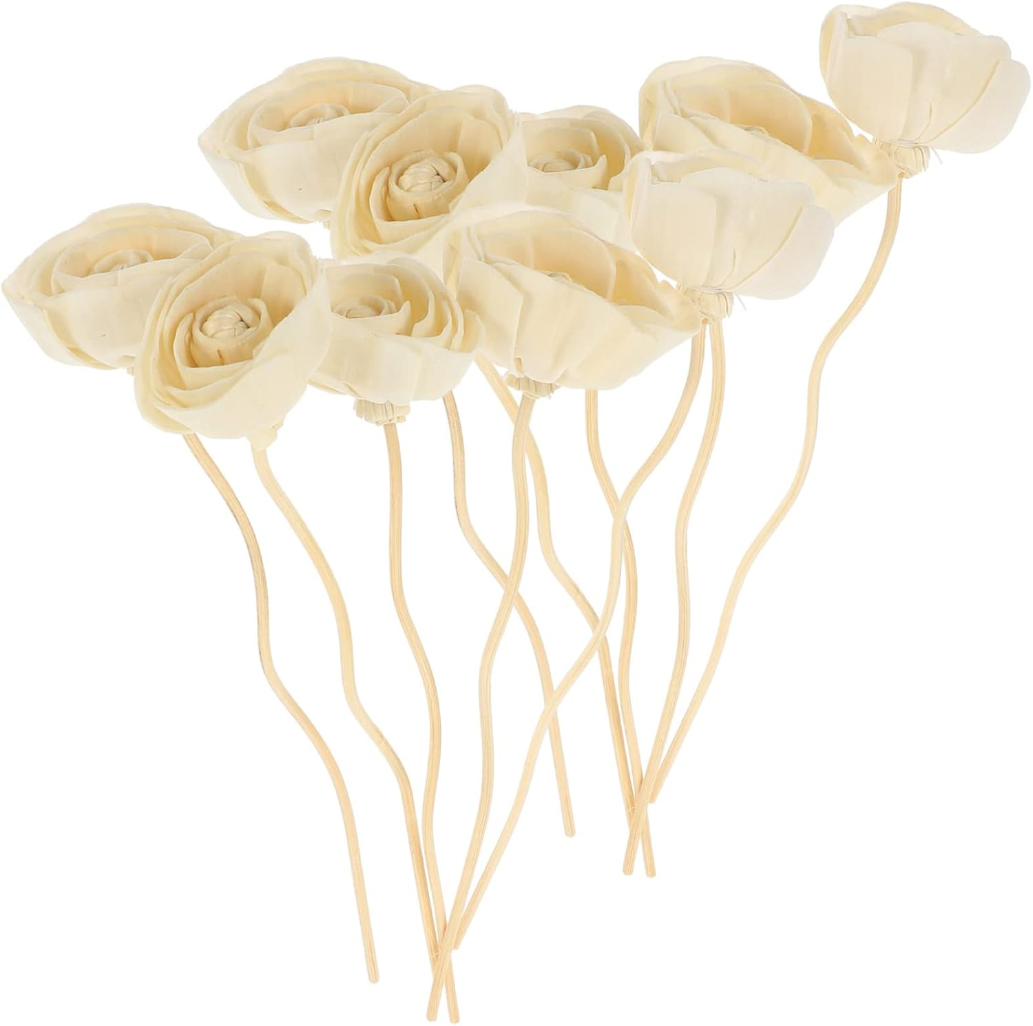 COHEALI 50Pcs Aroma Diffuser Sticks for Essential Oil Diffuser Flower Reed Sticks Fragrance Reeds Fragrance Aroma Bottle Replacement Accessory image number 1