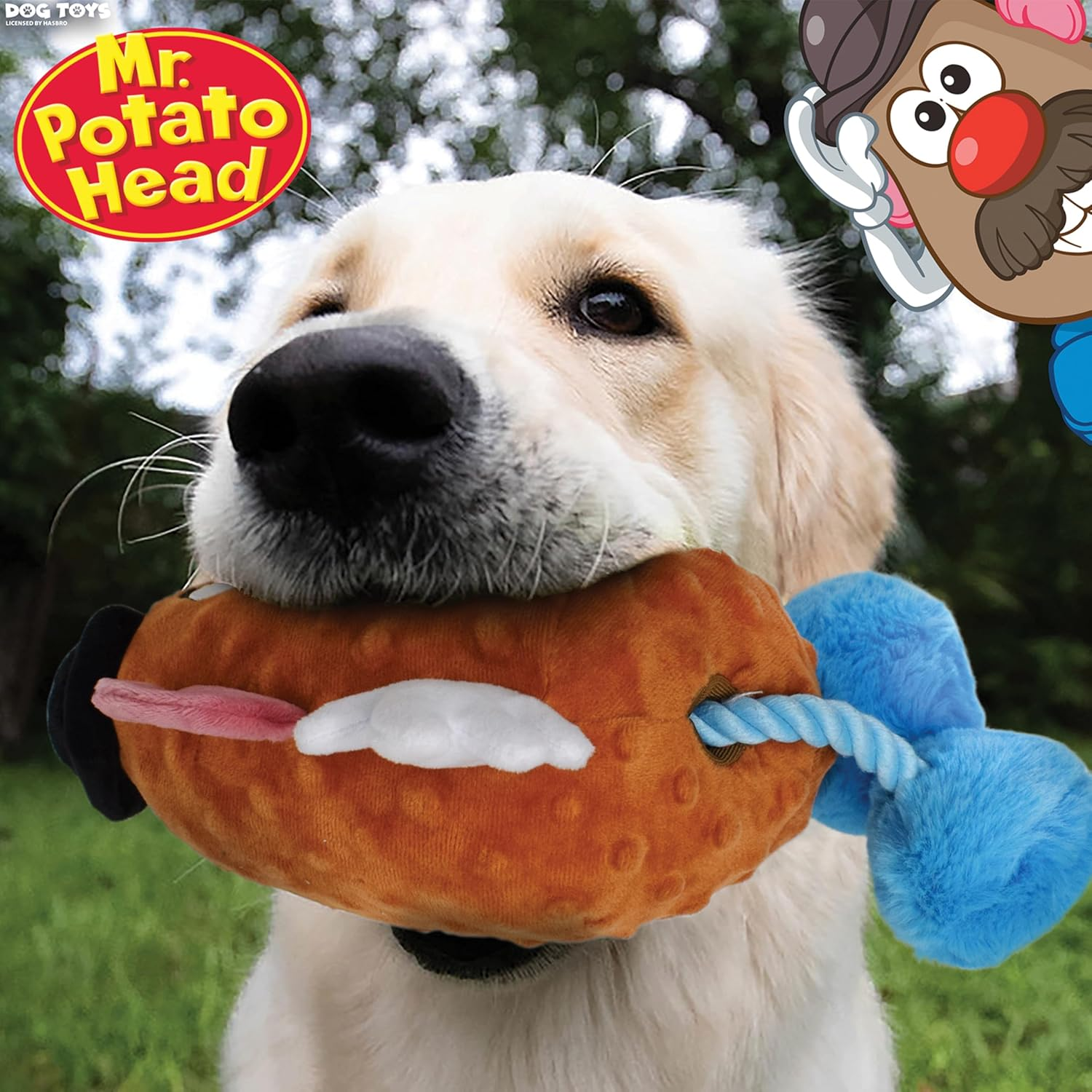 Hasbro Mr. Potato Head with Rope Dog Toy - Brown image number 4