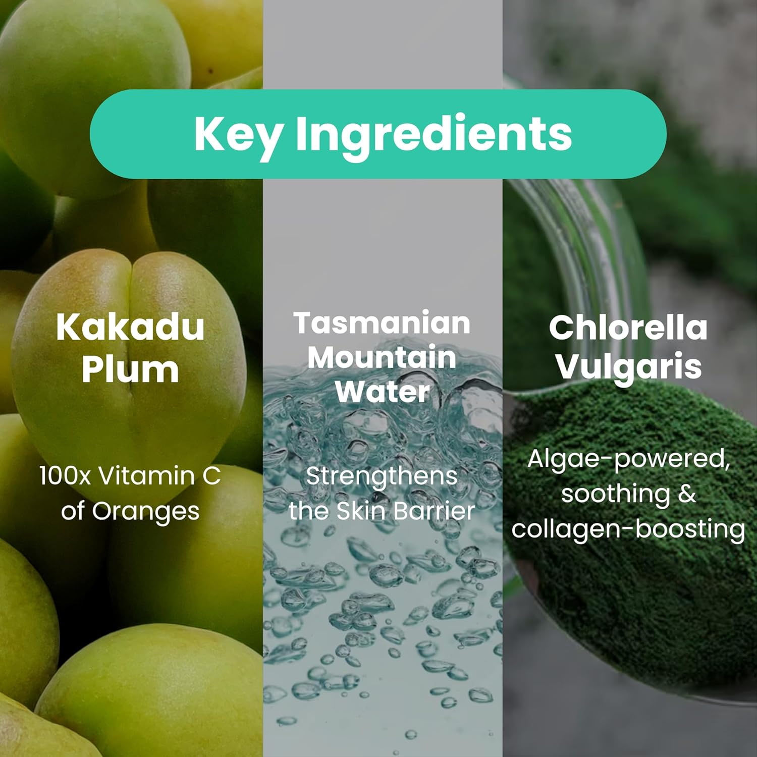 Feat by You Korean Clay Mask for Face with Bentonite, Kaolin Clay, Vitamin C & Chlorella - (135 Ml) Vitassie Vita Mellow Cushion Clay Face Mask for Blackheads, Pores & Sebum Control, Gentle Exfoliation image number 3