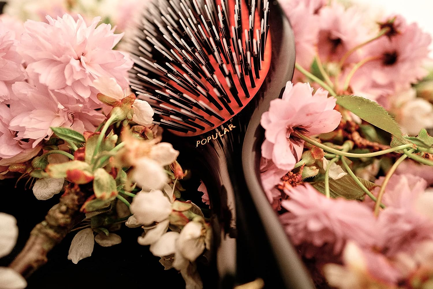 Mason Pearson Large Popular Bristle & Nylon Brush - # BN1 Dark Ruby by Mason Pearson for Unisex - 2 Pc Hair Brush & Cleaning Brush, 2 Count image number 3