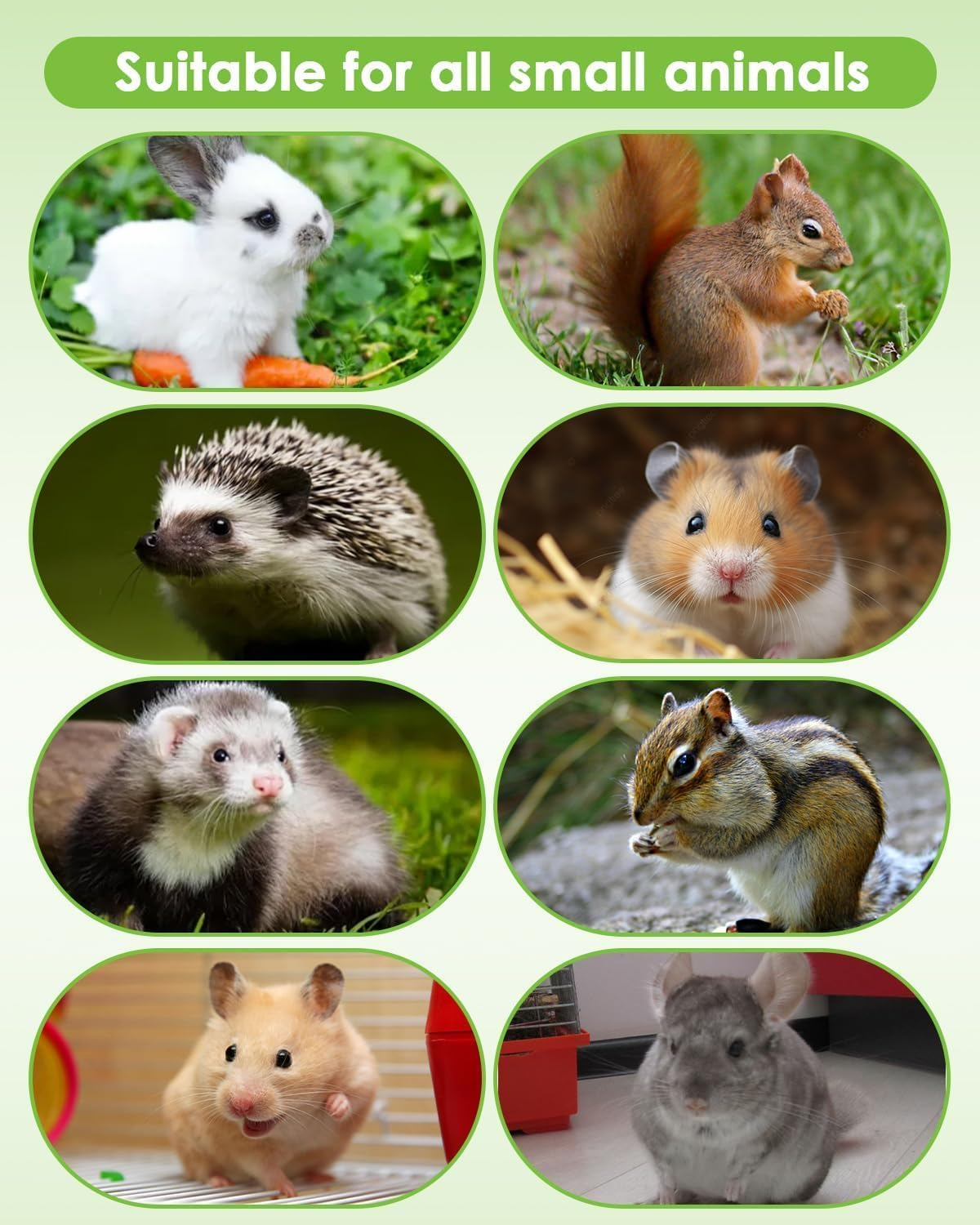 JCBCKJ Bunny Chew Toys for Teeth, Natural Rabbit Toys Apple Wood Grass Timothy Sticks Chew and Treat for Guinea Pigs Hamster Chinchillas (Apple Wood) image number 2