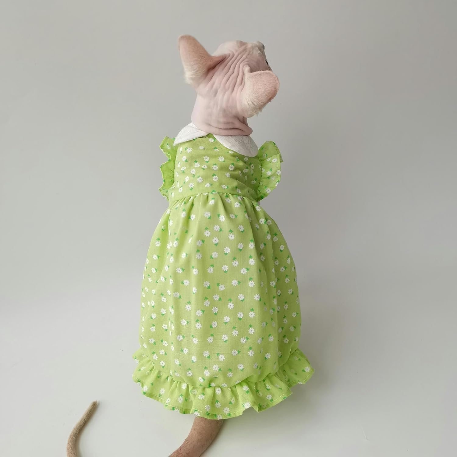 IUOUTG Sphynx Hairless Cats Clothes Lightweight Pet Princess Skirt Girl Cute Floral Kittens Dress with Flying Sleeves Breathable Cat Vest for Devon Rex Pet Apparel in Spring Summer image number 3